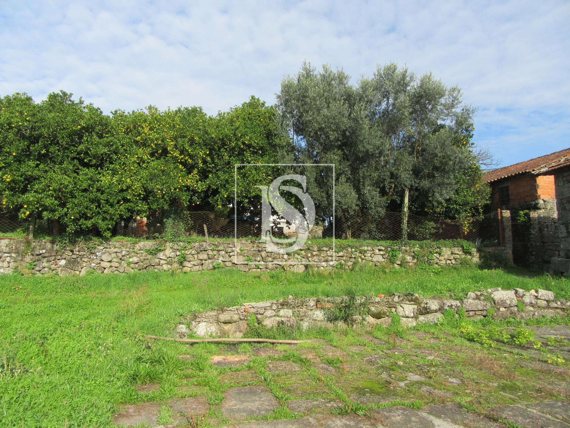 Quinta