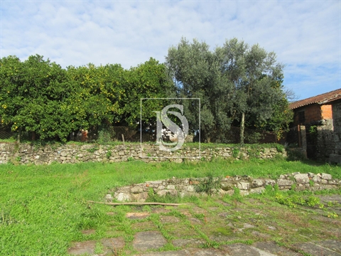 Quinta