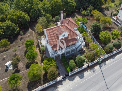 Quinta T6