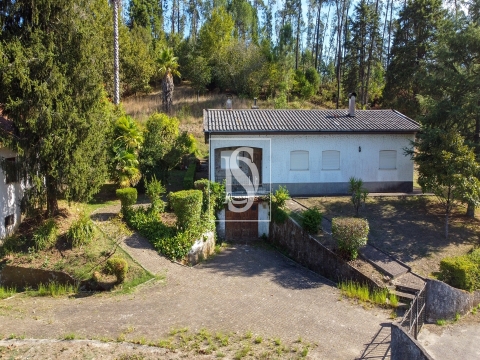 Quinta com 24.300m² em Vale de Açores, Mortágua