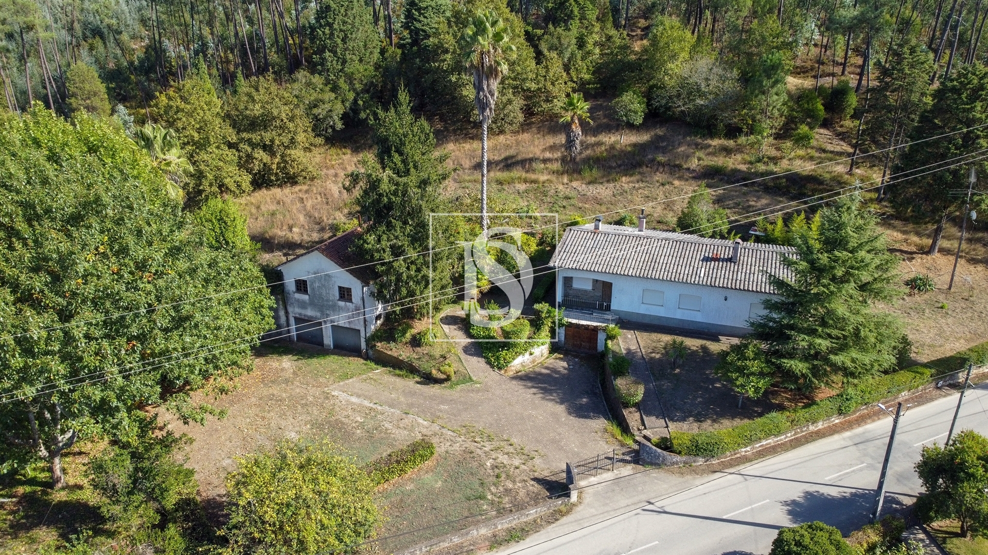 Quinta com 24.300m² em Vale de Açores, Mortágua